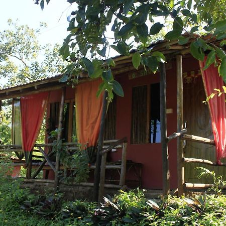 Готель Galaxy Jungle Huts Агонда Екстер'єр фото