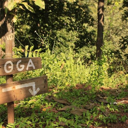 Готель Galaxy Jungle Huts Агонда Екстер'єр фото