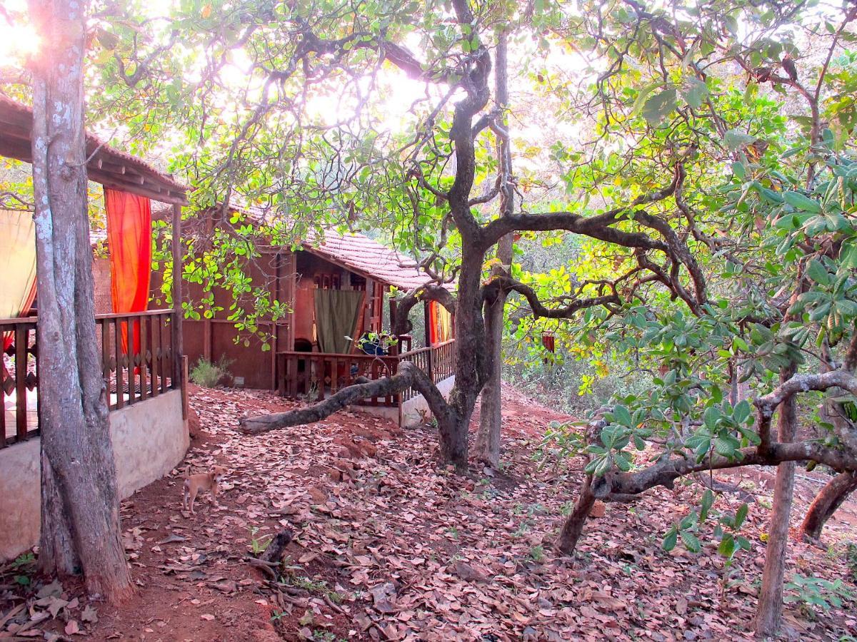 Готель Galaxy Jungle Huts Агонда Екстер'єр фото