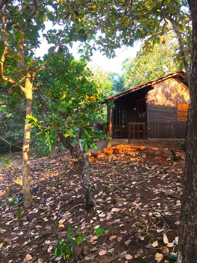 Готель Galaxy Jungle Huts Агонда Екстер'єр фото