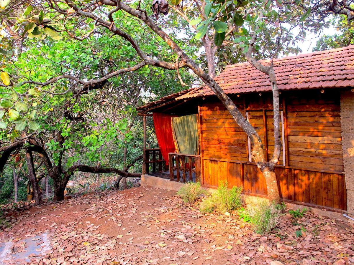 Готель Galaxy Jungle Huts Агонда Екстер'єр фото