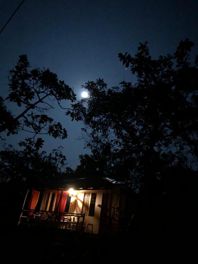 Готель Galaxy Jungle Huts Агонда Екстер'єр фото