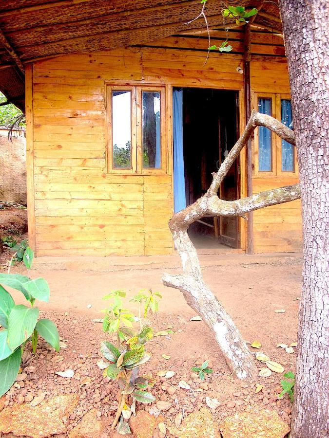 Готель Galaxy Jungle Huts Агонда Екстер'єр фото